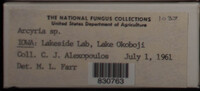 Image Associated With the Occurence